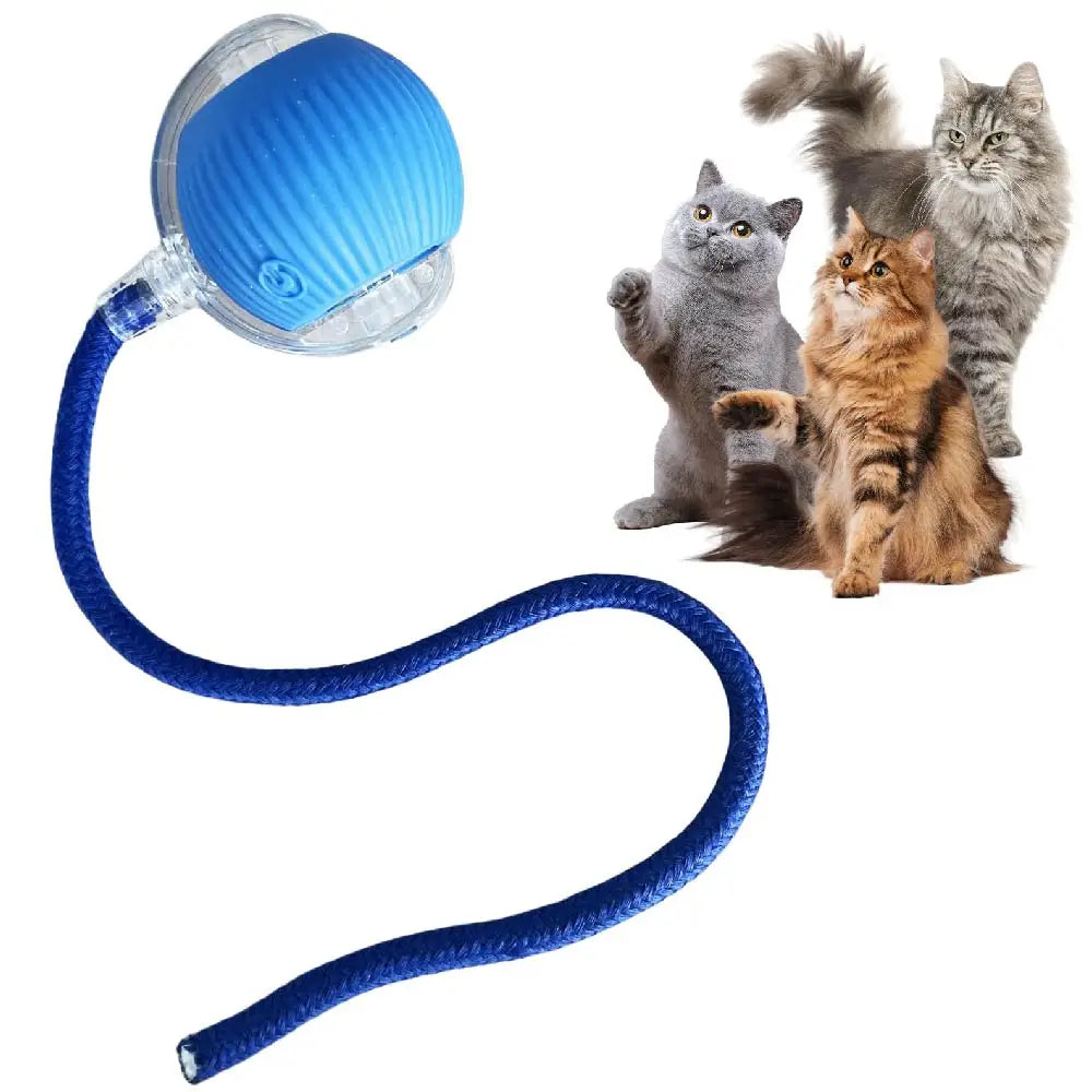 Smart Rolling Cat Ball – USB Rechargeable