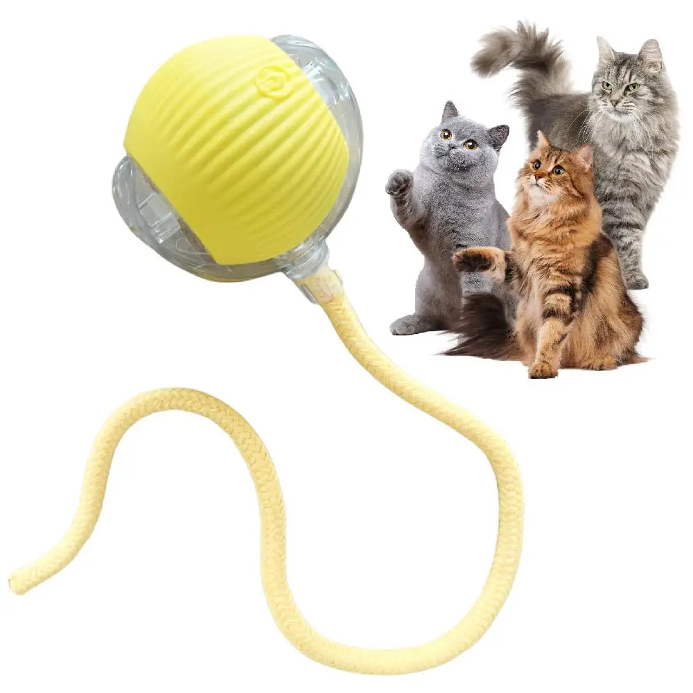 Smart Rolling Cat Ball – USB Rechargeable